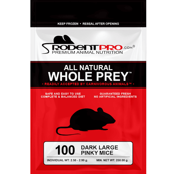 Frozen Dark Large Pinky Mice for Sale: Shop Online RodentPro